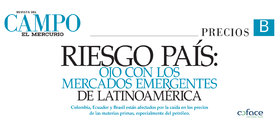 Riesgo país: ojo con los mercados emergentes de Latinoamérica - Revista del Campo