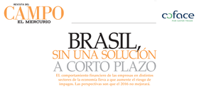 Brasil, sin una solución a corto plazo/ Revista del Campo