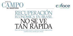 Recuperación económica en Brasil no se ve tan rápida / Revista del Campo