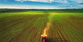 Sector Agroalimentario se enfrenta a diversos desafíos económicos en 2021/ Portal frutícola
